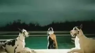 লর্ড নির্যাতন এবং পপির সেক্স ভিডিও মোটামুটি একটি ভঙ্গুর দুশ্চরিত্রা আছে সব ফাটল