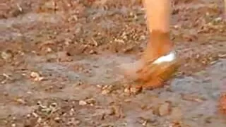 চশমা লোক তার উলকিযুক্ত সাউথ সেক্স ভিডিও বান্ধবীকে প্রলুব্ধ করে